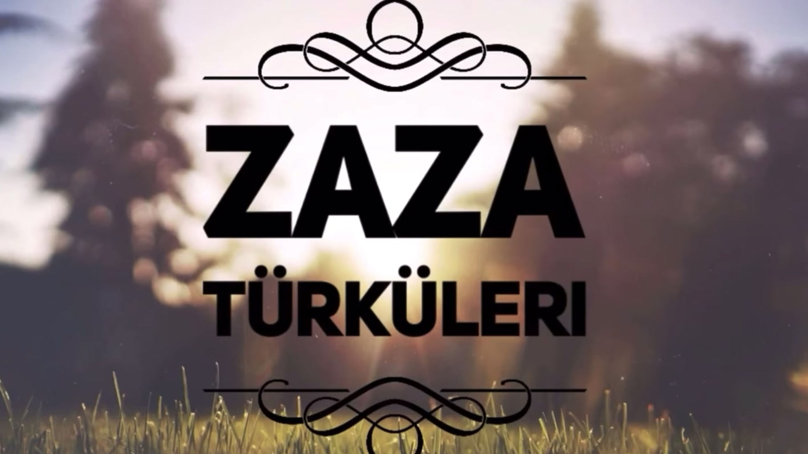 Alle Videos